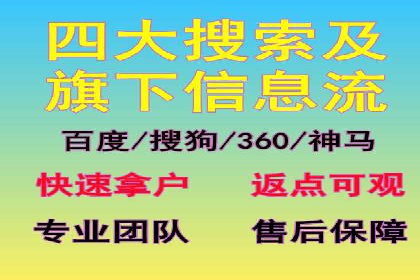 SEM广告投放策略：成功案例解析